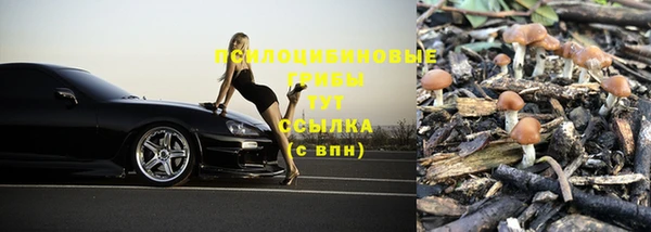 ПСИЛОЦИБИНОВЫЕ ГРИБЫ Горнозаводск