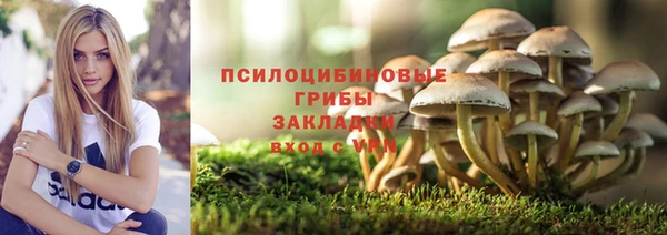 синтетический гашиш Гусев