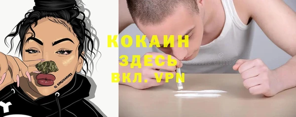 spice Горняк