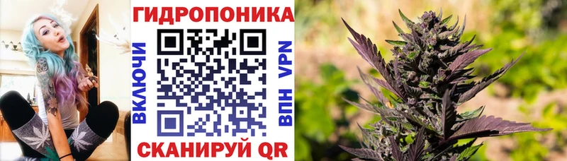 купить закладку  Демидов  Бошки марихуана Amnesia 